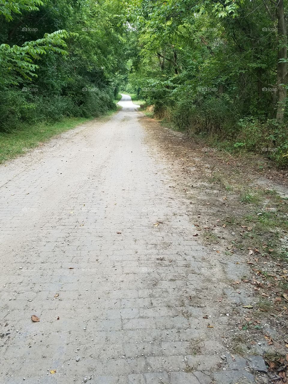 Old brick highway in IL.
