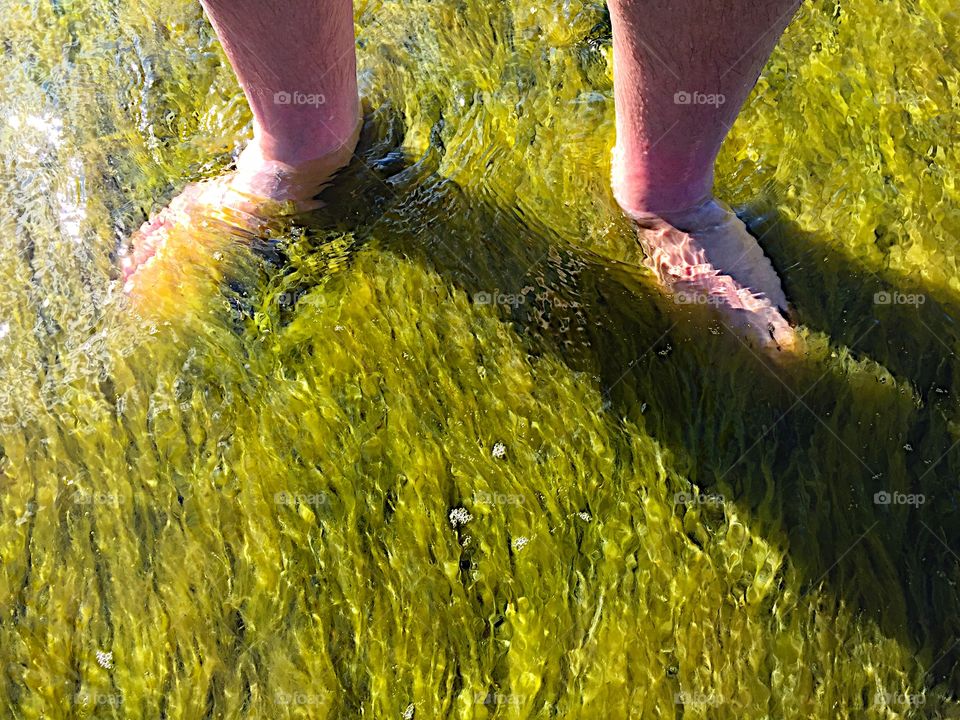 Under water with seaweed that wraps soft on my feet!