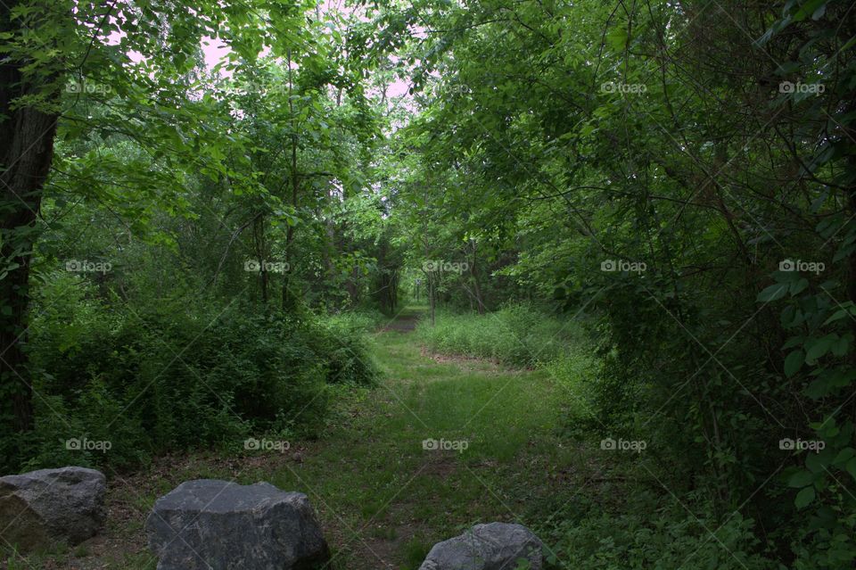 Three rock trail in NJ