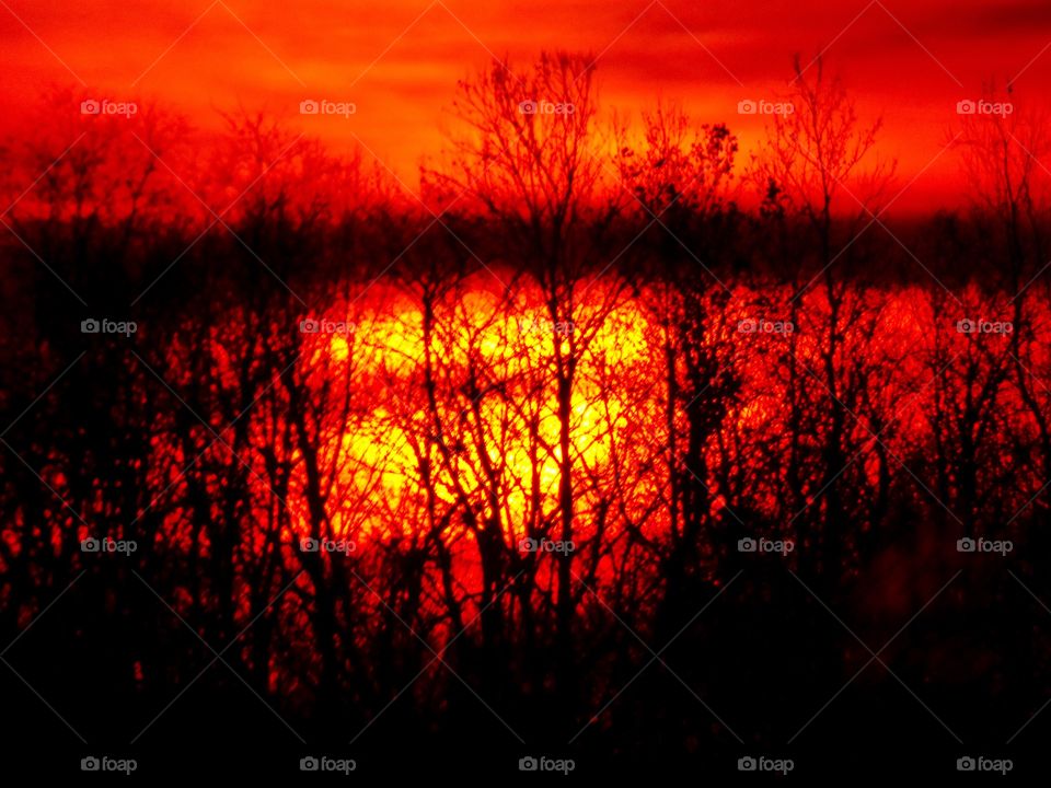 Sunset behind the trees 