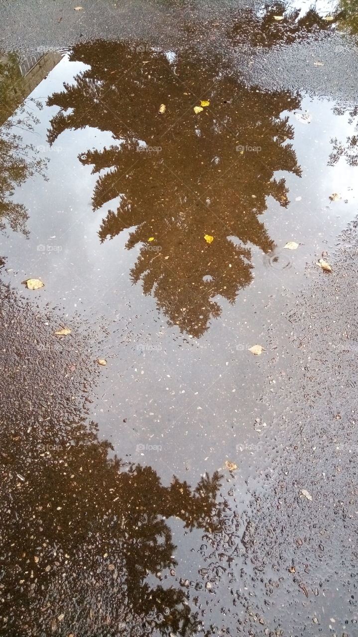 лужи.отражение.дождь.