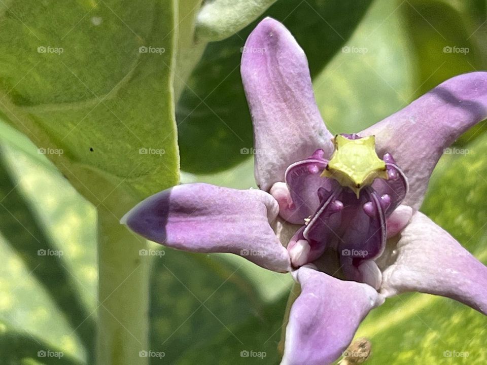 Editors ‘ choice : Photo of the week,My garden.