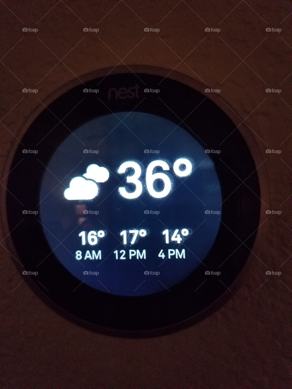 nest thermometer and weather forecast