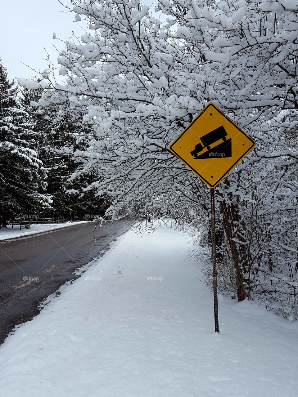 wintry roadway