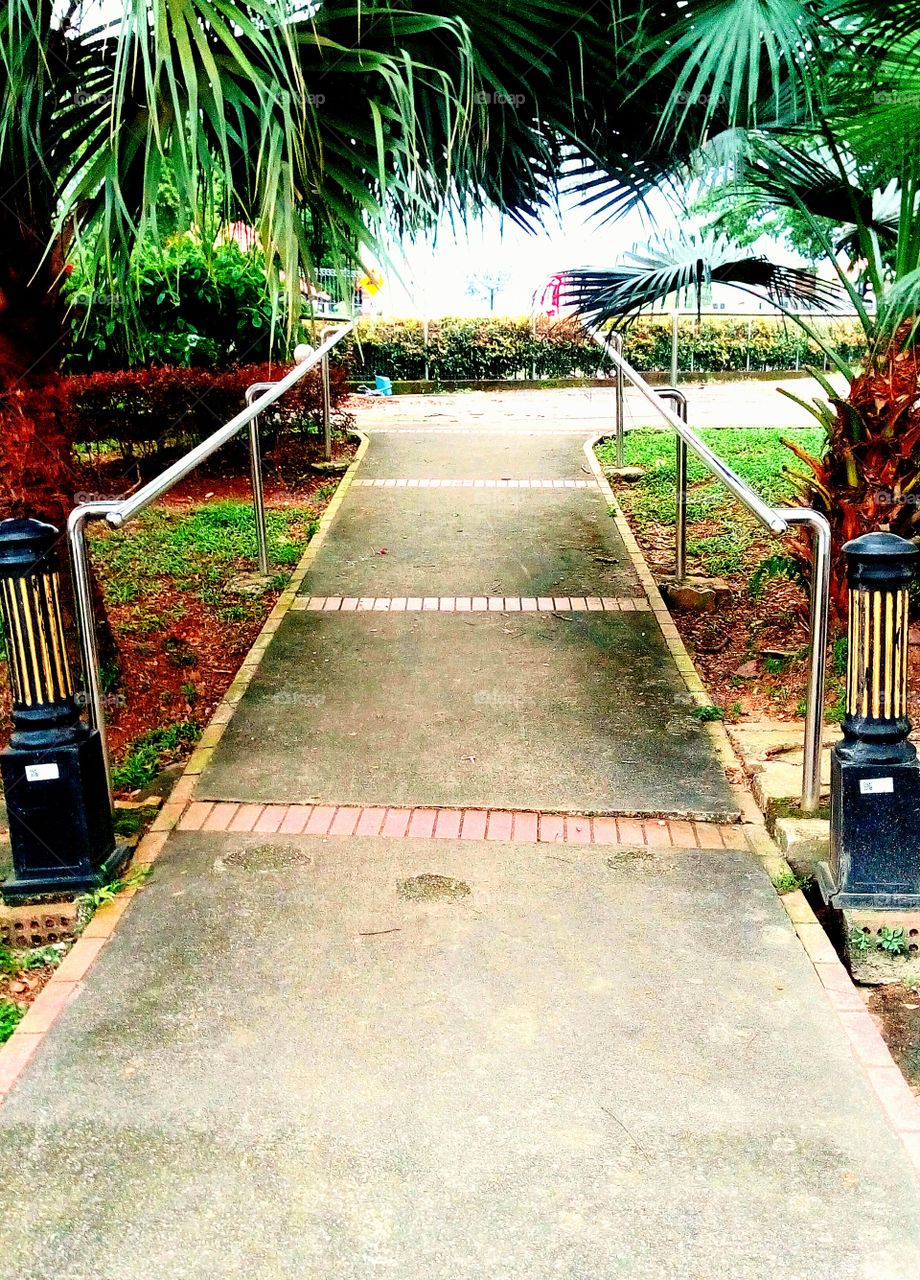 Enter the park