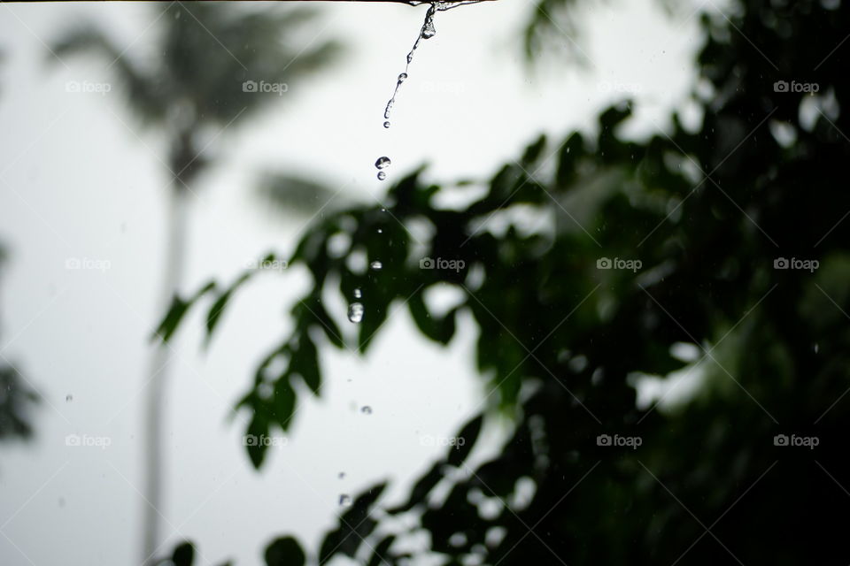 Rain 🌧️