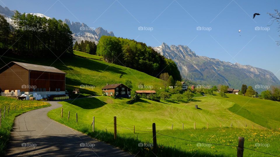 Countryside: wide open green spaces