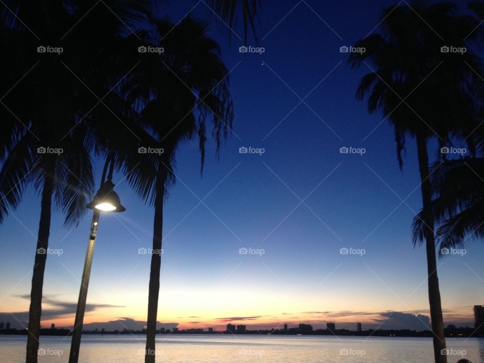 Miami sunrise