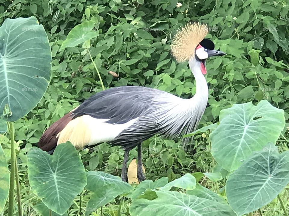 Catch me if you can!