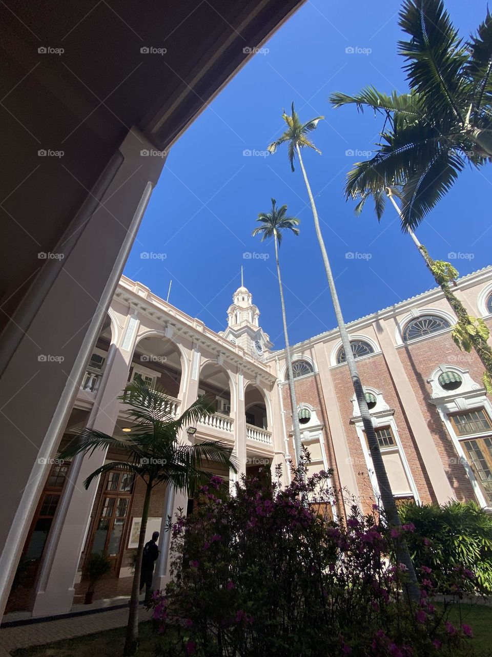 Hong Kong University 