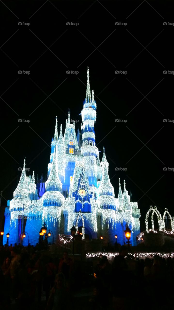 Castle at Magic Kingdom