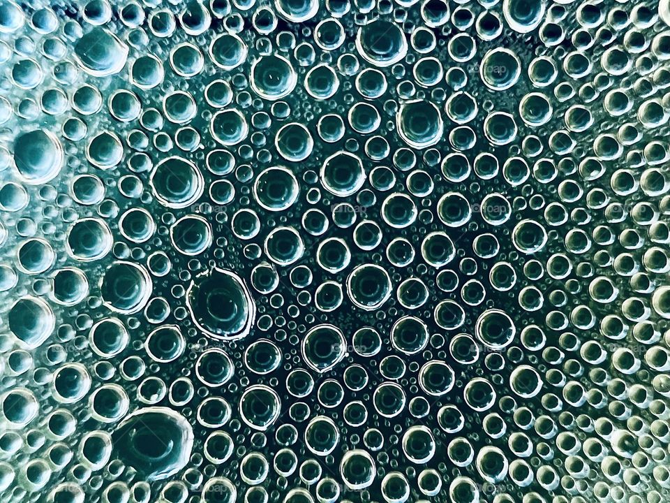 Water droplets macro