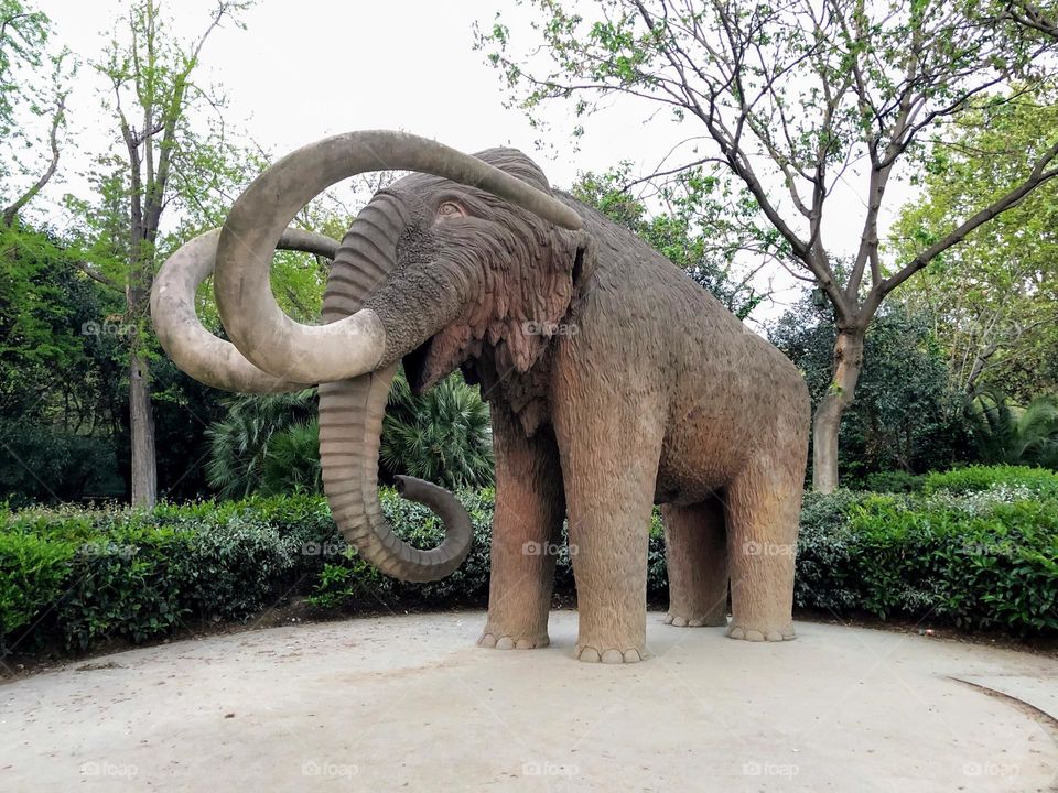 View to the mammoth sculpture in Parc Ciutadella in Barcelona 