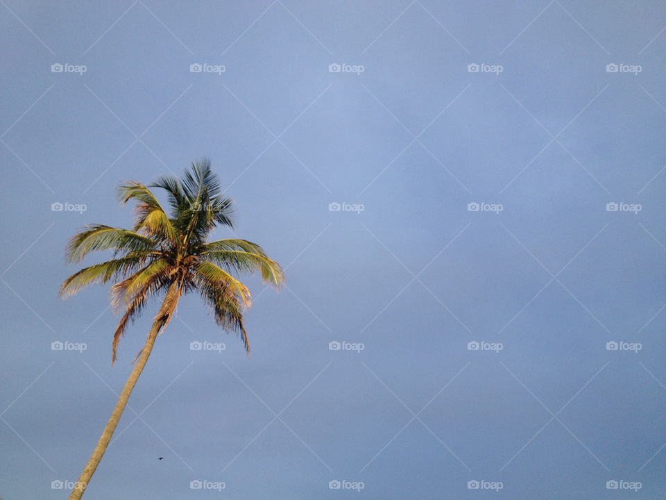 beach sky green spring by 3rdandocean