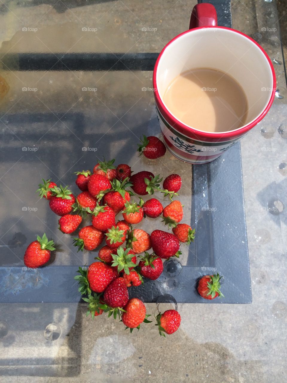 Picking Strawberries with Morning coffee