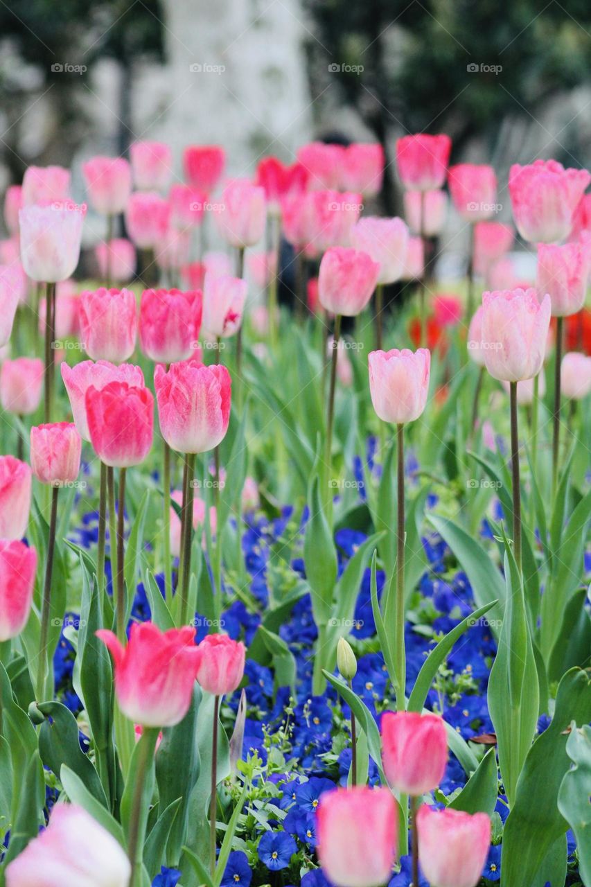 All the beautiful vibrant colors you can see