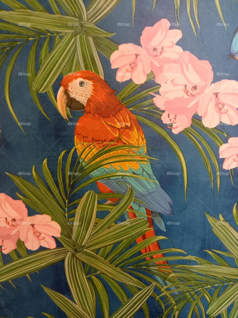 Any parrot lovers there 🦜❤️✨