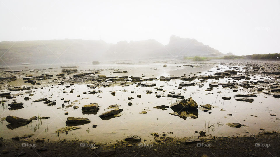 Misty Day at the Cliffs