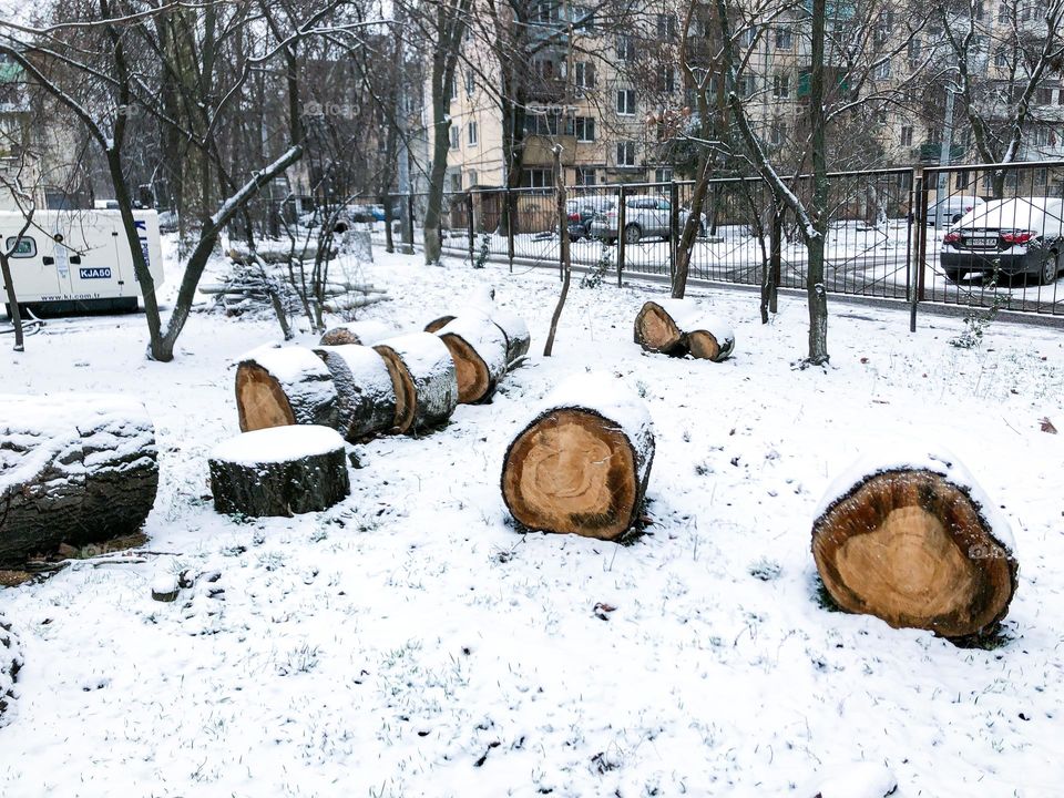 Circle pieces of the tree