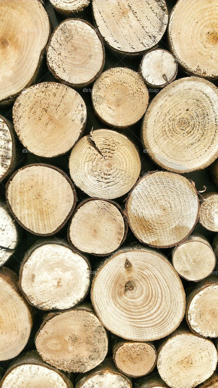 Wall of stocked logs