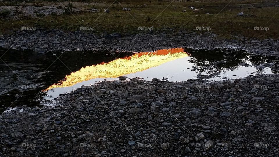 Puddle reflection