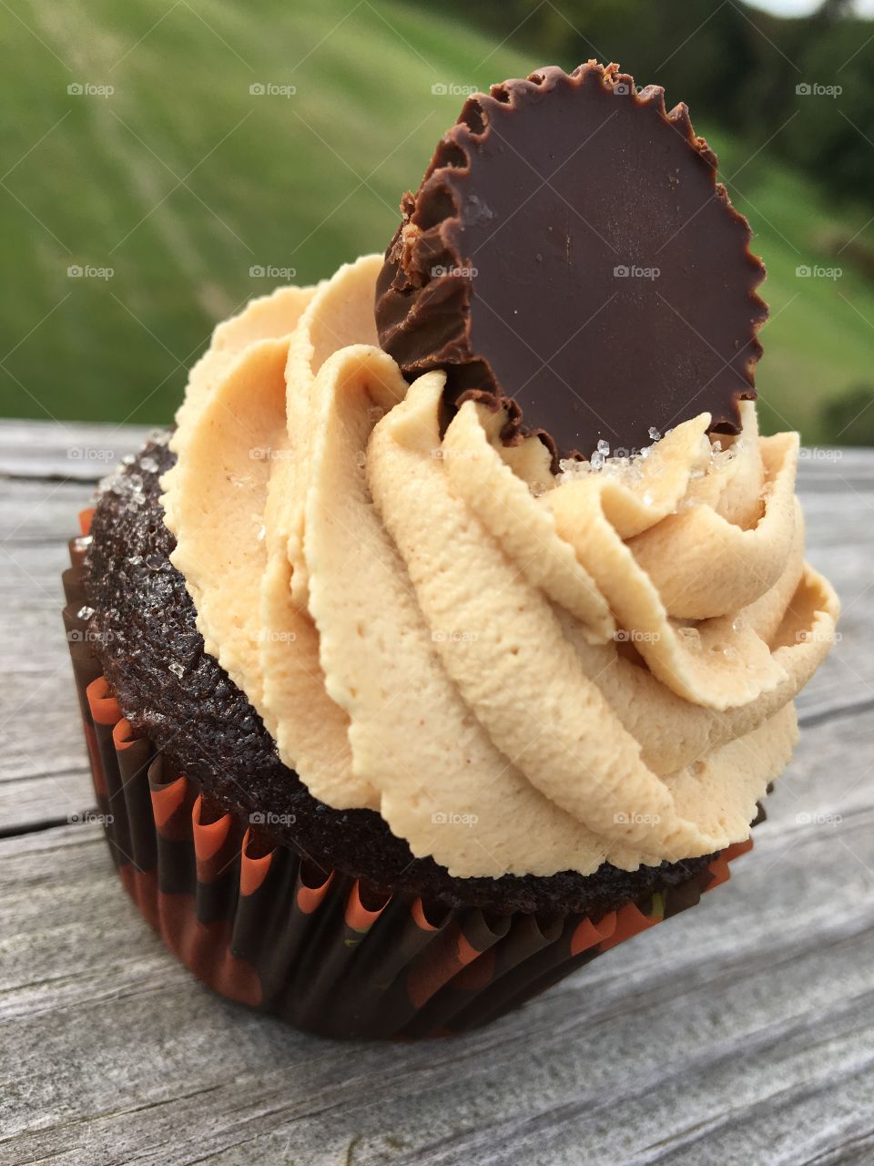 Chocolate Cupcakes with Peanut Butter Buttercream Icing topped with a Peanut Butter Cup