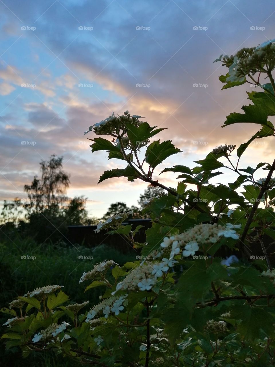 Last night 😎✌️❤️