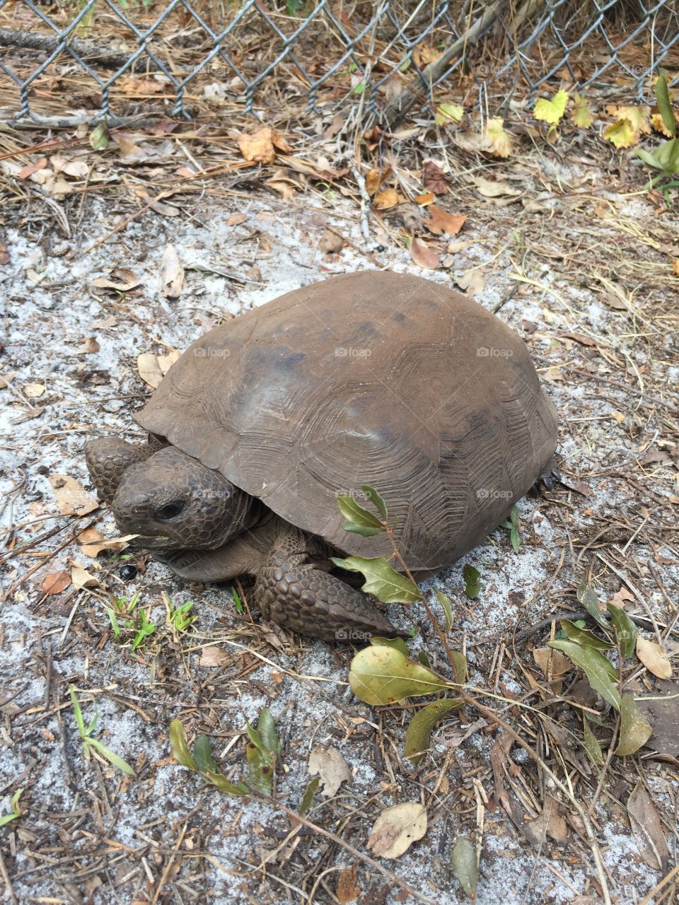 New year, new start. I want to be more in tune with the great outdoors this Jan2018, that’s my greatest New Year Resolution. 