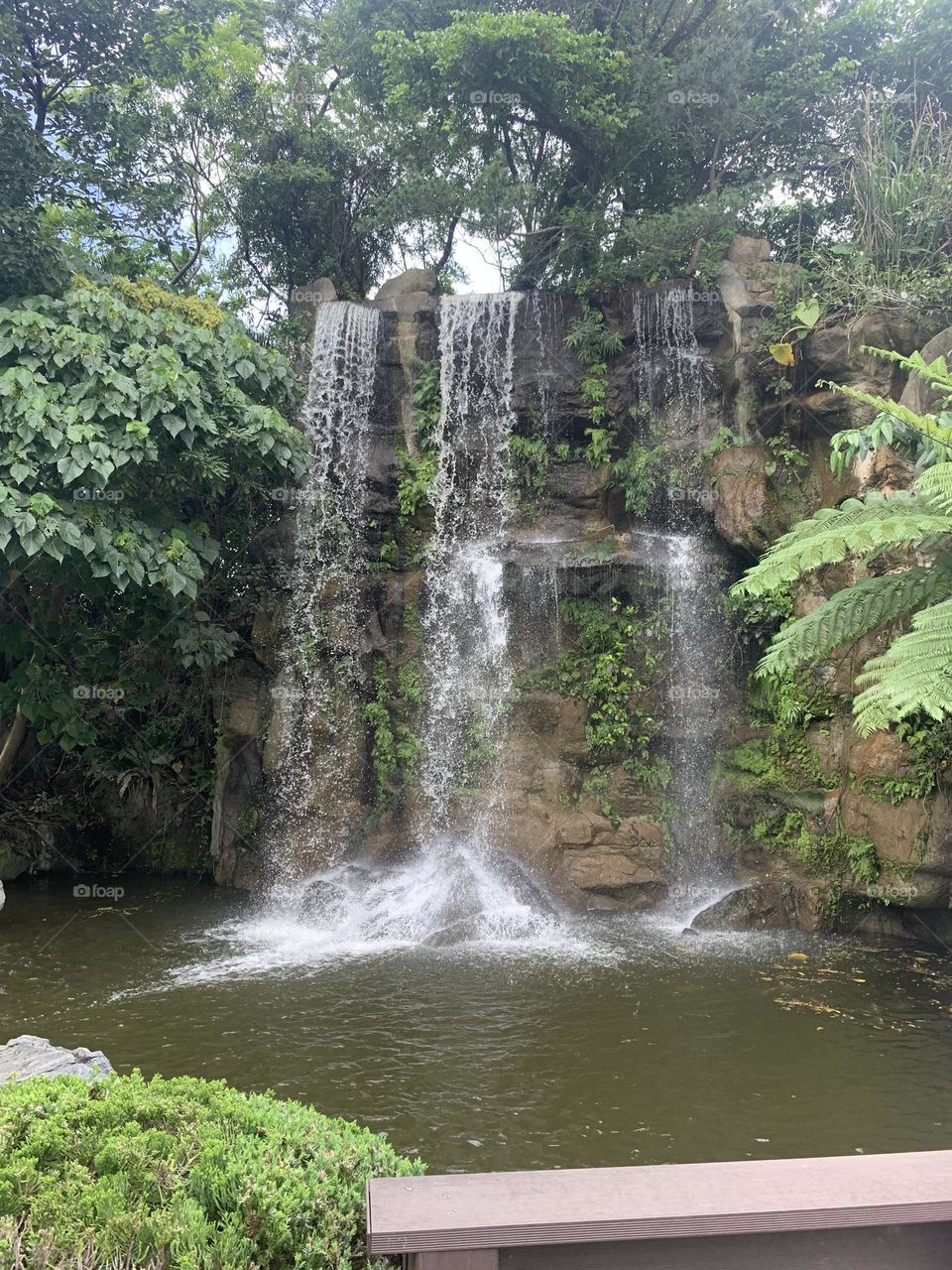 Fall - Chun Leisure Farm - Taiwan