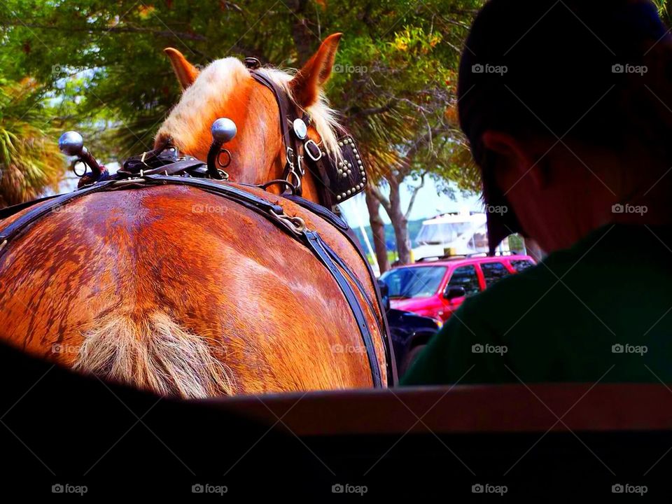 Buggy Ride