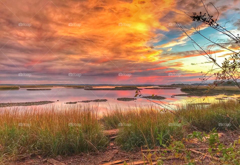 The Marsh at Sunset