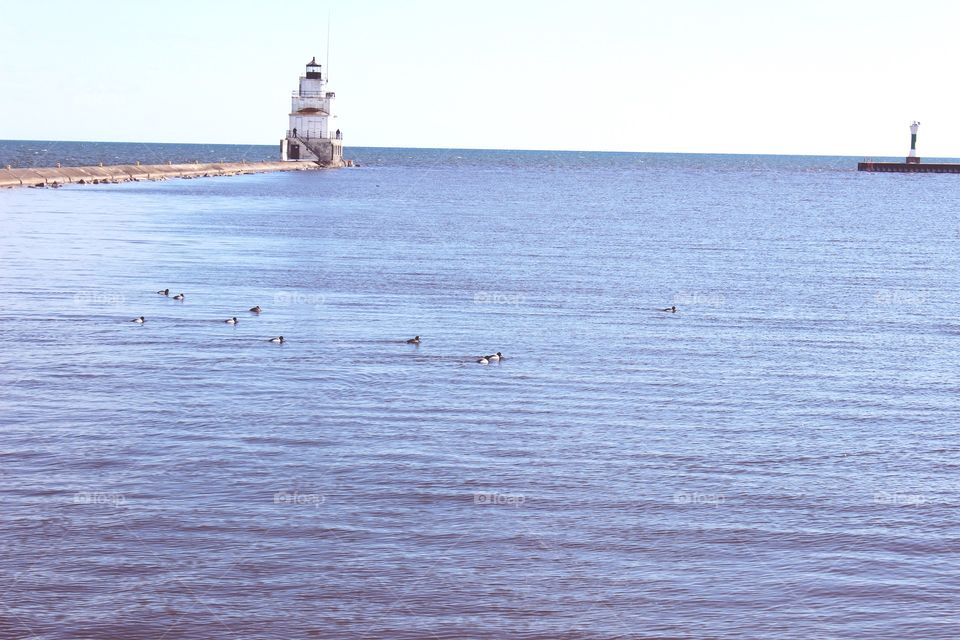 Lighthouse with ducks swimming around 