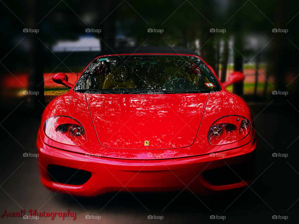 Who likes Ferrari? 