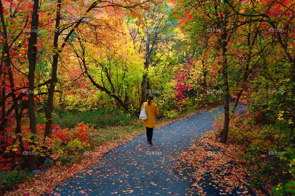 enjoying fall foliage