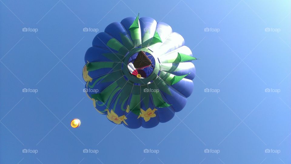 balloon from below. hot air balloon at Colorado Balloon Classic