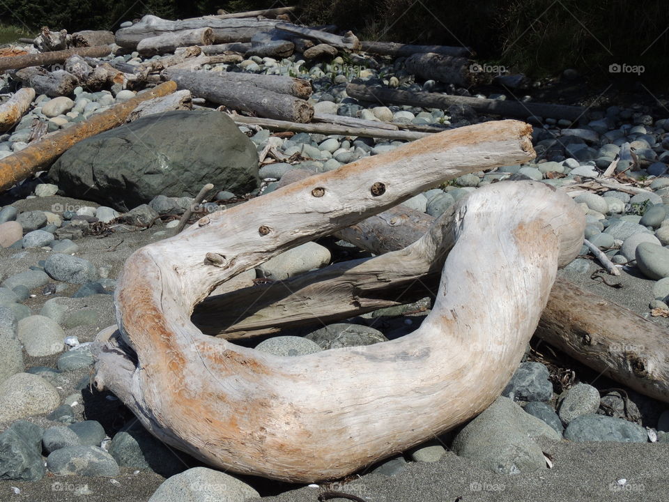 Driftwood 