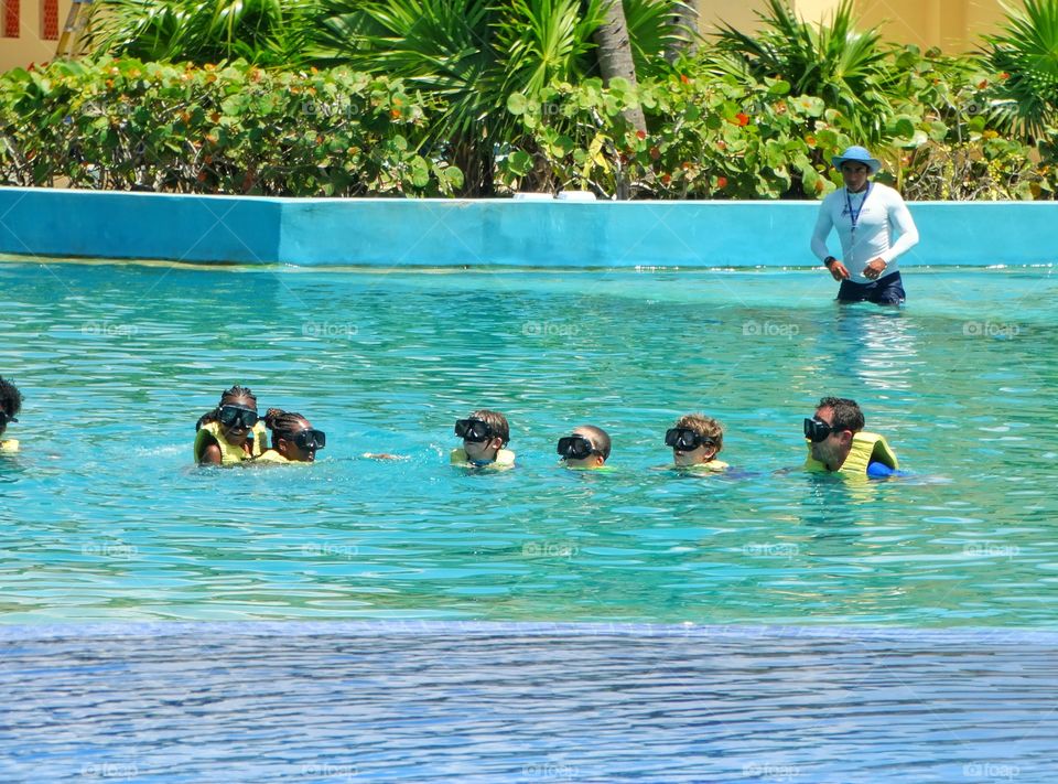 Swimming With Dolphins