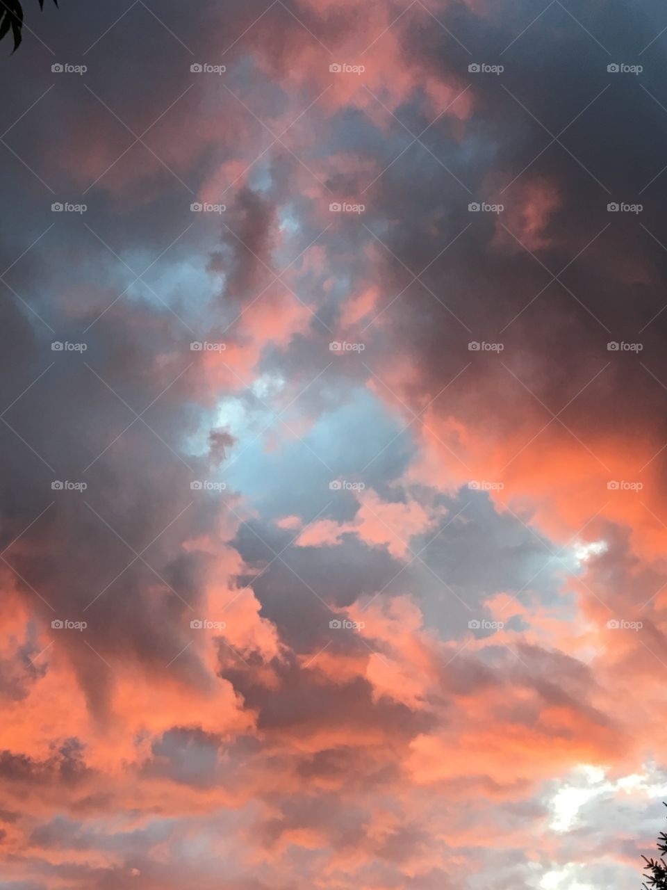 Pink & blue clouds at sunset