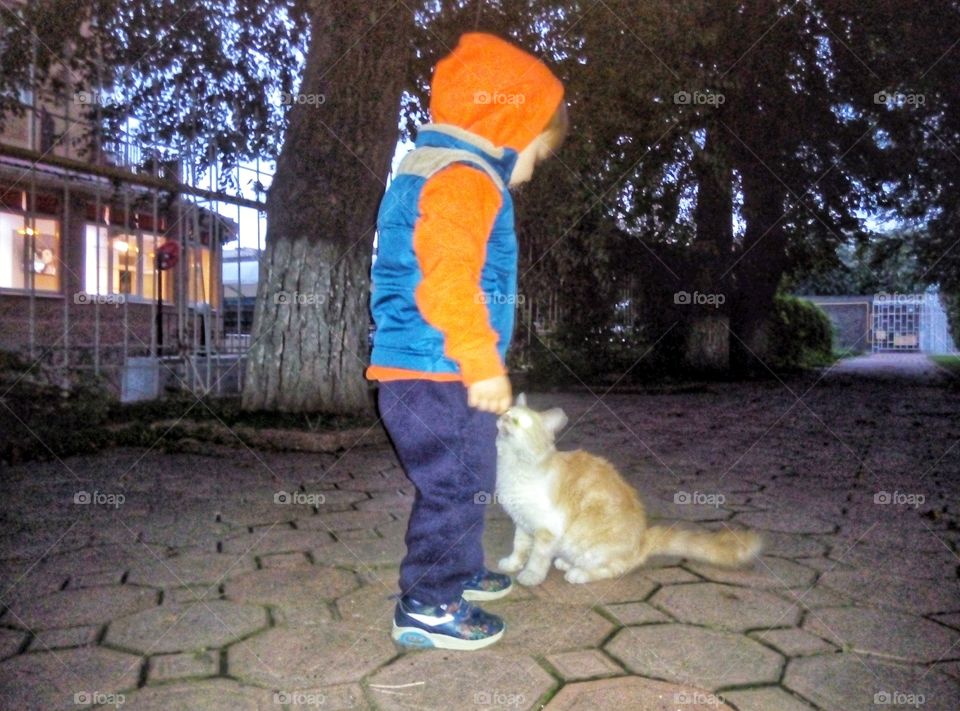 boy with a cat