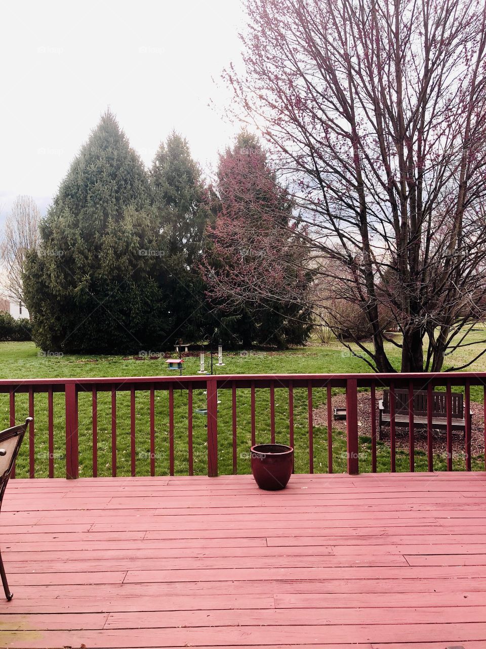 A beautiful photo of my yard. I just love going outside to feel the fresh breeze and hearing the birds chirping in the wind. 😁