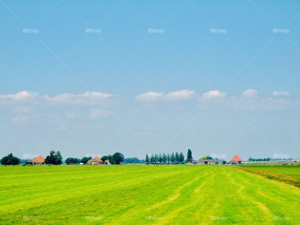 Serene Dutch countryside dotted with pretty  farm houses. The orange roofs add a pop of color to the landscape. 