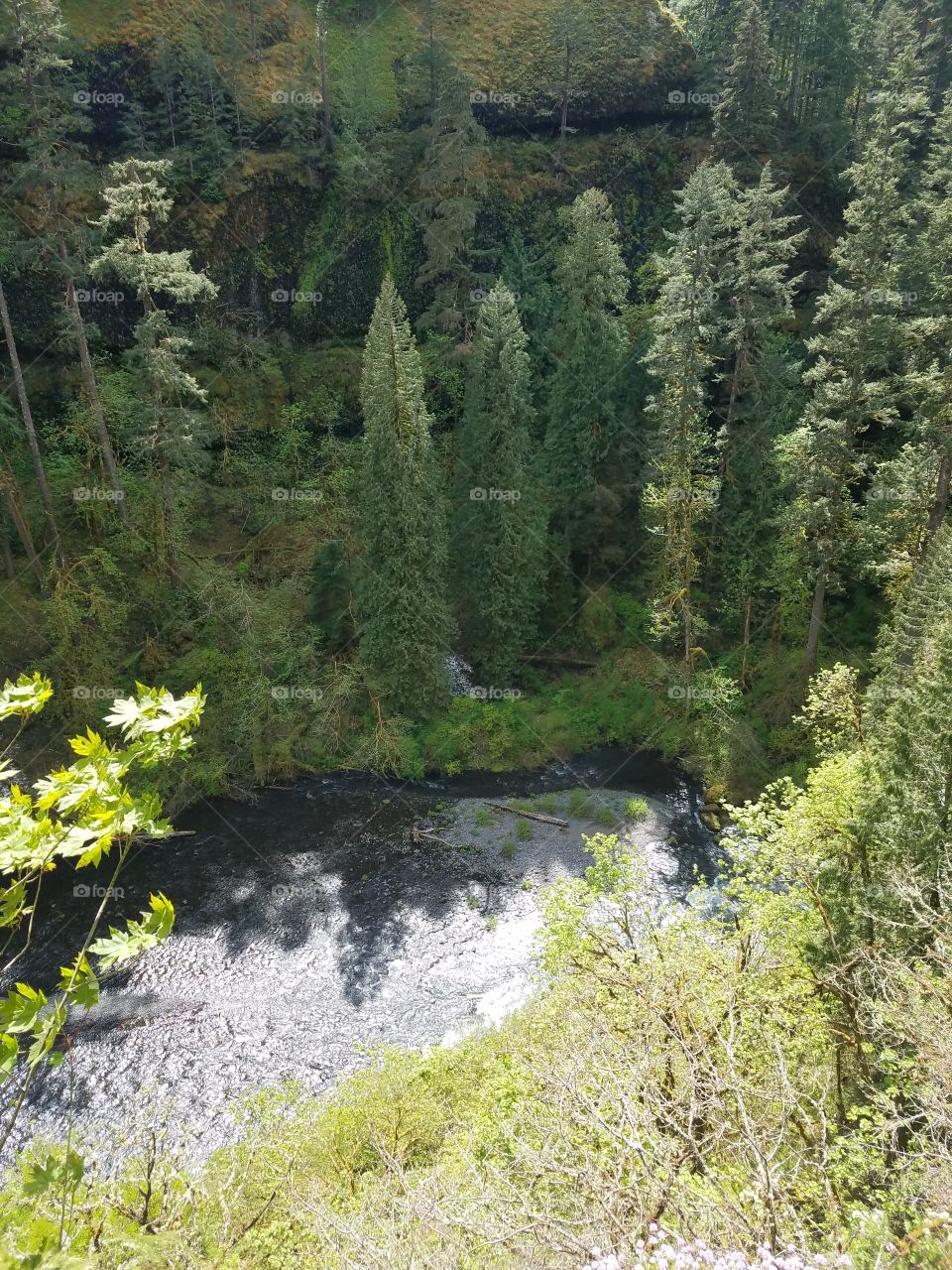 Landscape, Nature, Water, Wood, River