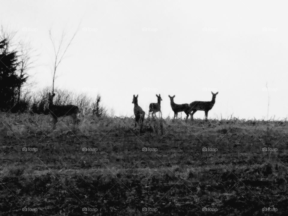 Driving the back Roads, Enjoying Nature