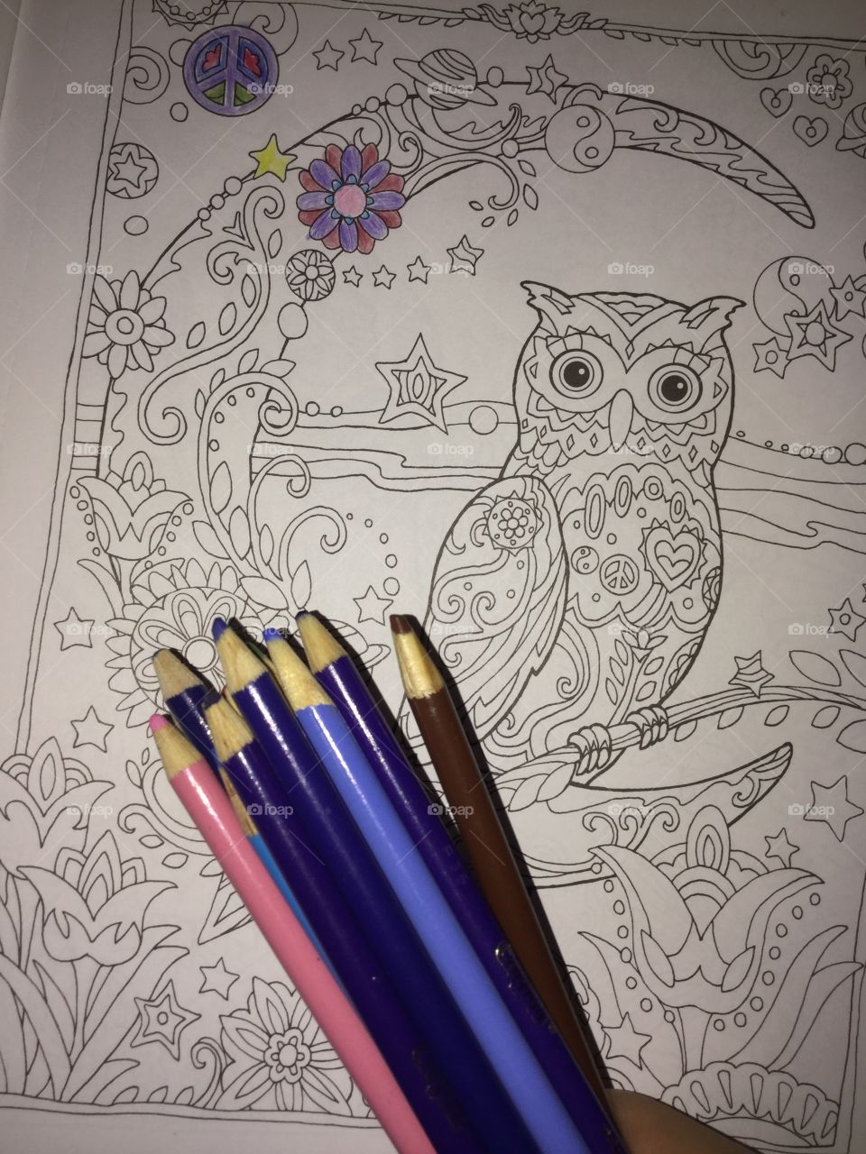 owl coloring