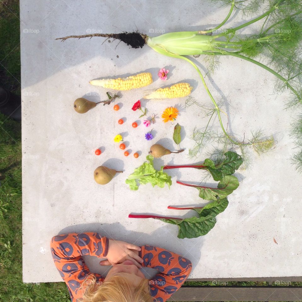 Vegetables. vegetables from above