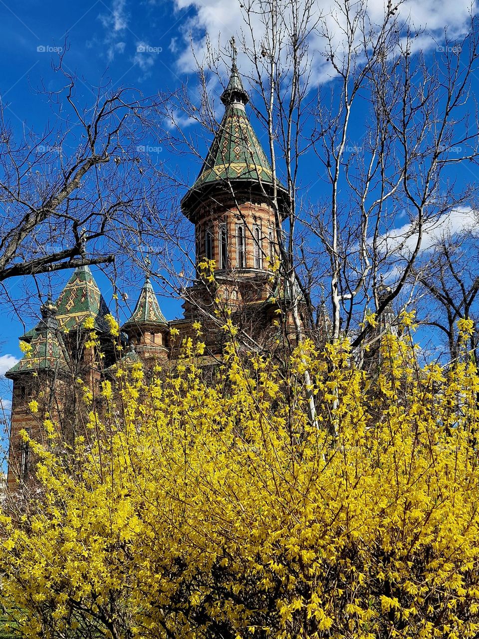 Timisoara comes to life in the spring