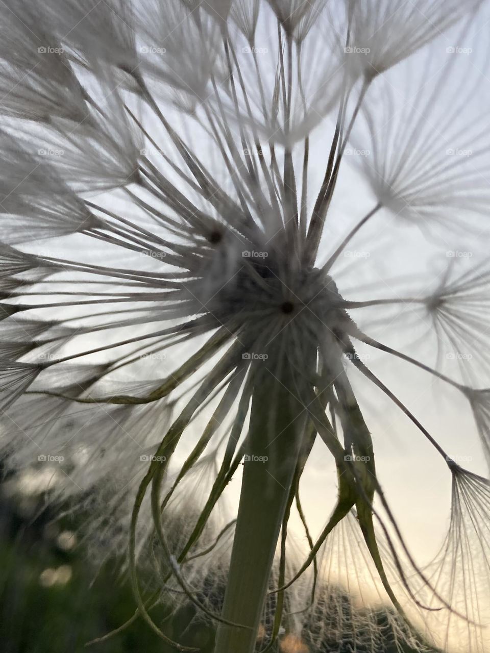 In the morning stillness 