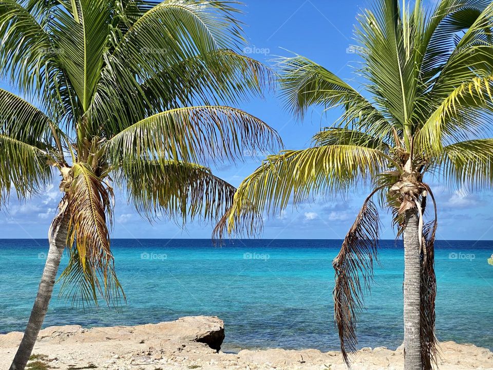 Two palm trees in front of the beautiful turquoise waters of the Caribbean 