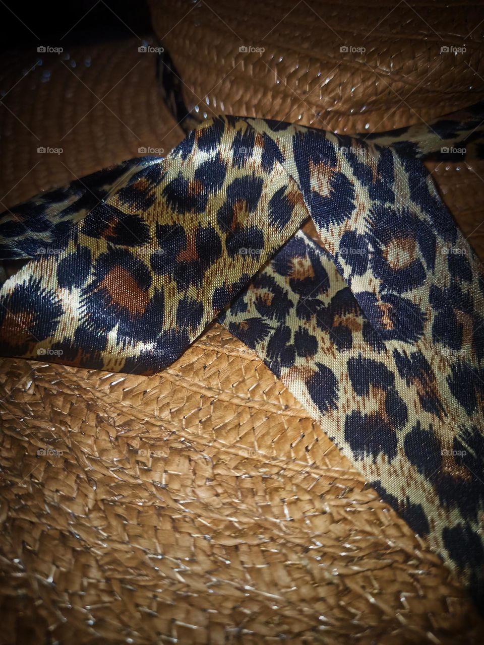 Tiger colour 💥❤️