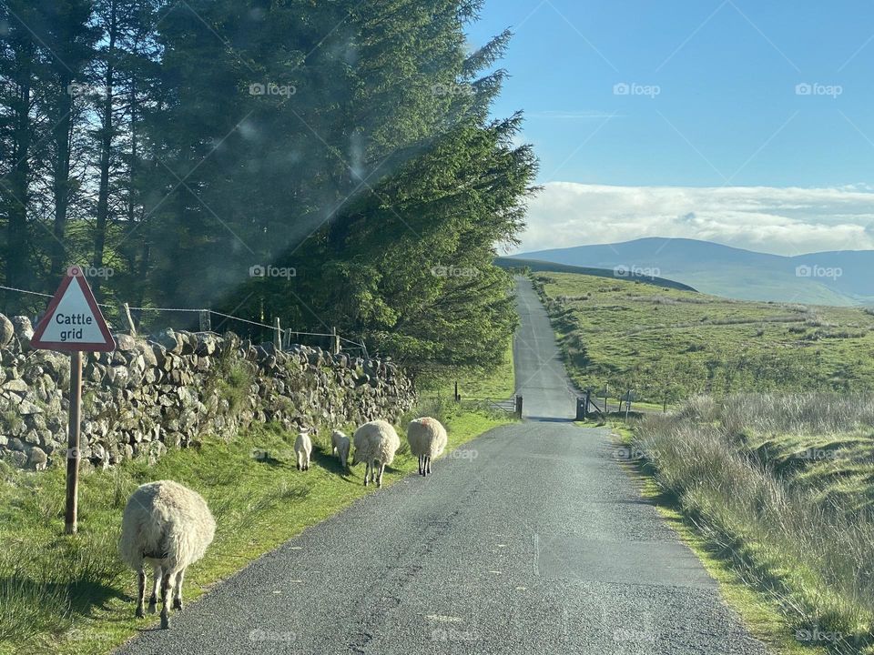 Scenic views at the Lake District 